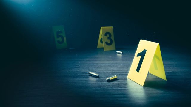 Vignette du programme télé Enquêtes criminelles