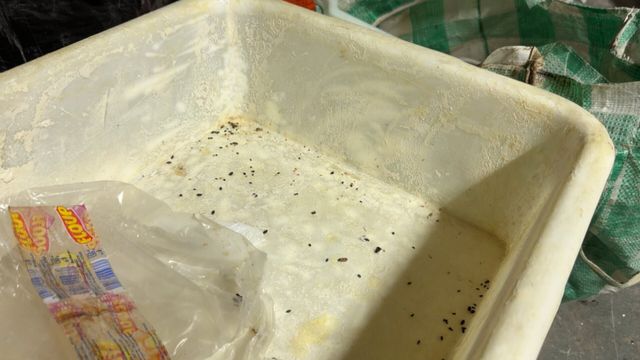 Vignette du programme télé Enquête d'action