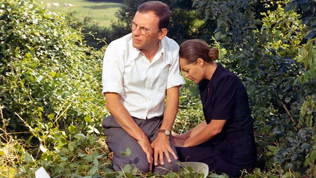 Vignette du programme télé Le train