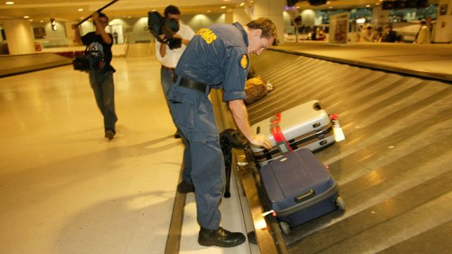 Vignette du programme télé Douanes sous haute surveillance - Saison 8