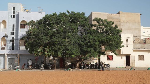 Vignette du programme télé Invitation au voyage