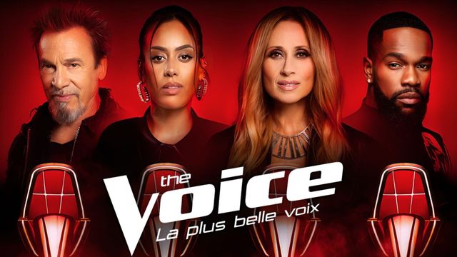 Vignette du programme télé The Voice, la plus belle voix