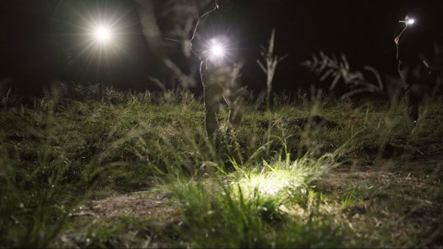 Vignette du programme télé Chroniques criminelles