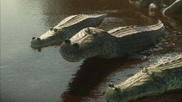 Vignette du programme télé Les as de la jungle à la rescousse - Saison 1