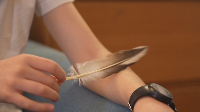 Vignette du programme télé E=M6