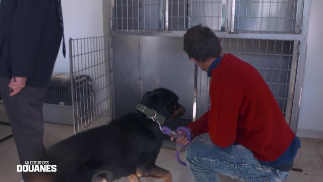 Vignette du programme télé Au coeur des douanes : Espagne - Saison 4