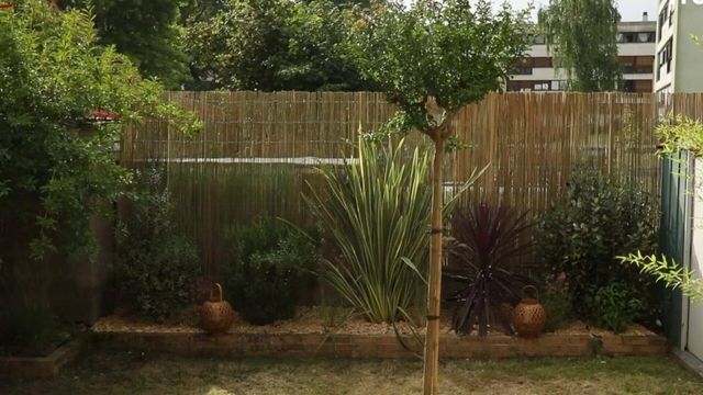 Vignette du programme télé Silence, ça pousse !