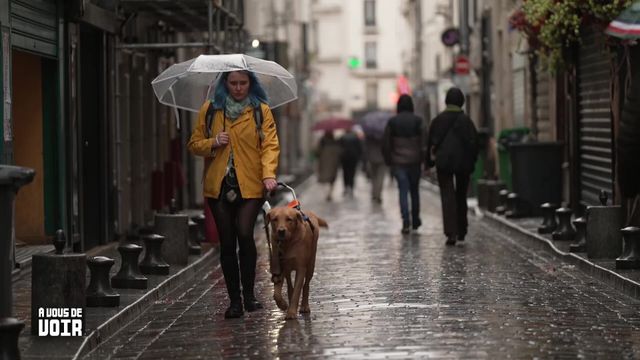 Vignette du programme télé A vous de voir