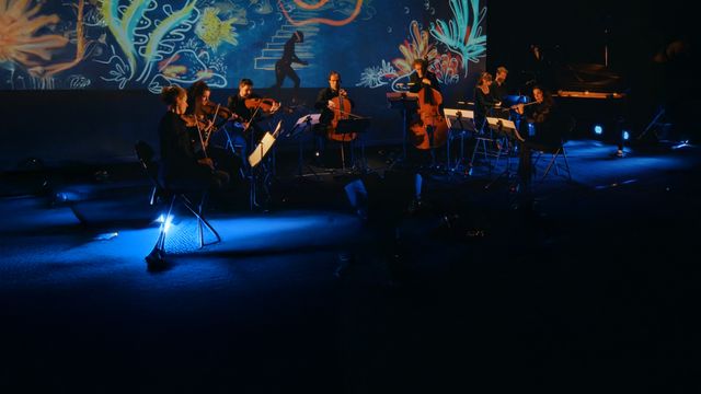 Vignette du programme télé Le Carnaval des animaux