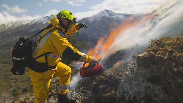 Vignette du programme télé Bonnes nouvelles de la planète