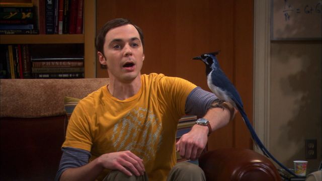 Vignette du programme télé Big Bang Theory - Saison 5