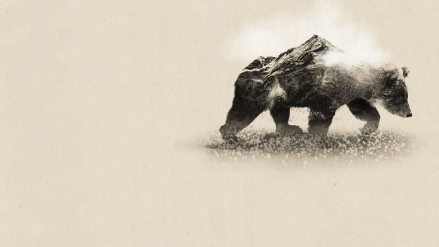 Vignette du programme télé Mort de l'ourse Cannelle, la blessure pyrénéenne