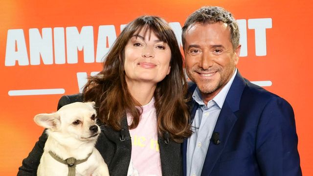 Vignette du programme télé Animalement vôtre