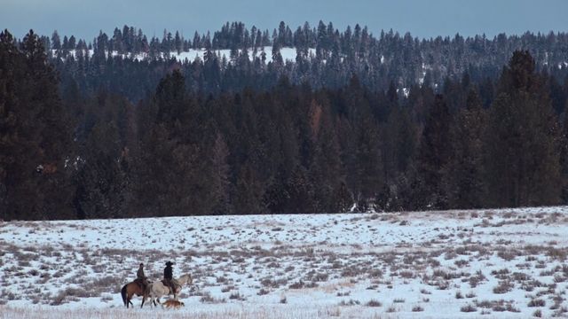 Vignette du programme télé Seuls face à l'Alaska - Saison 9