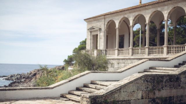 Vignette du programme télé Cougar Island