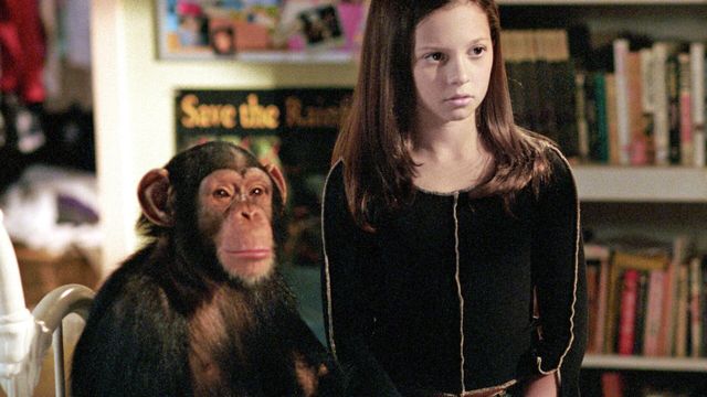 Vignette du programme télé 7 à la maison - Saison 8