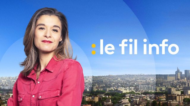 Vignette du programme télé Le fil info
