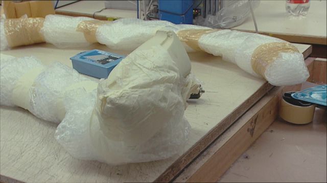 Vignette du programme télé Douanes sous haute surveillance - Saison 7