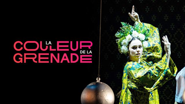 Vignette du programme télé La Couleur de la grenade