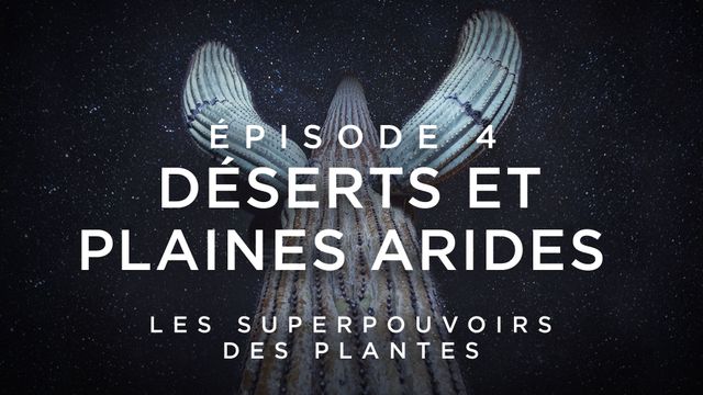 Vignette du programme télé Les superpouvoirs des plantes - Saison 1