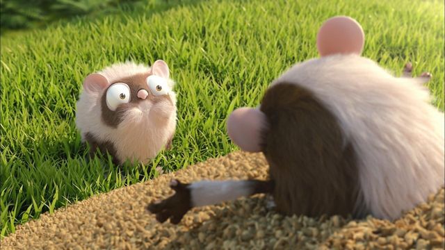 Vignette du programme télé Les as de la jungle à la rescousse - Saison 1