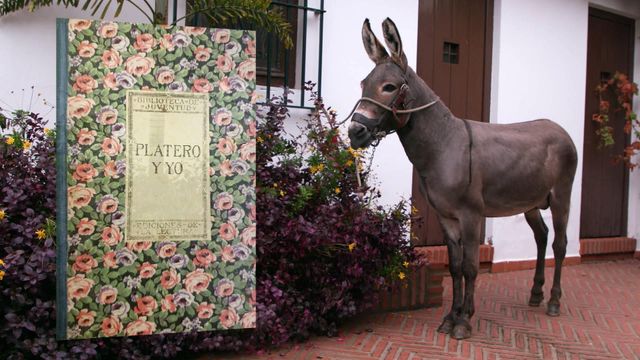 Vignette du programme télé Invitation au voyage