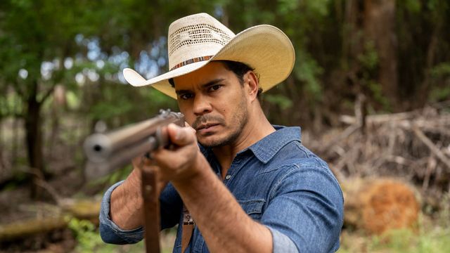 Vignette du programme télé Mystery Road : les origines - Saison 2