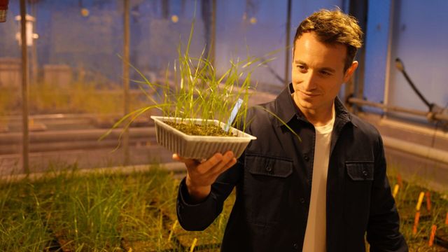 Vignette du programme télé Sur le front