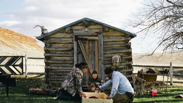 Vignette du programme télé Seuls face à l'Alaska - Saison 9