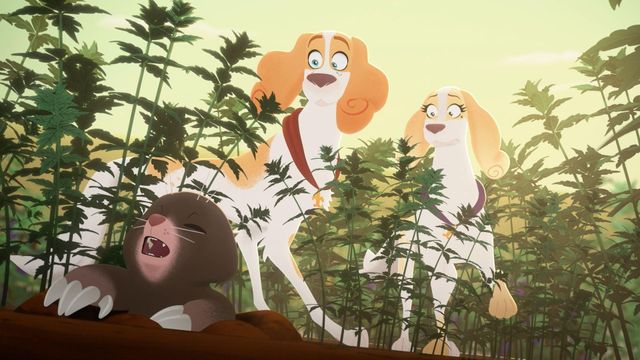 Vignette du programme télé Belfort & Lupin - Saison 1