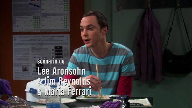 Vignette du programme télé Big Bang Theory - Saison 4