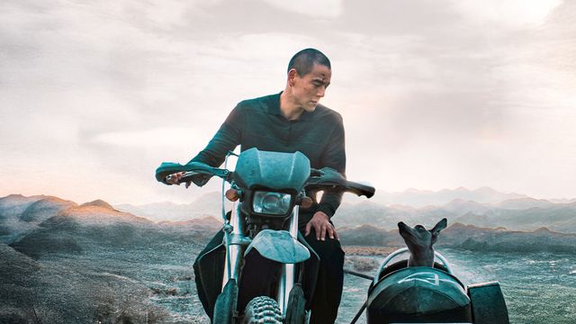 Vignette du programme télé Black Dog