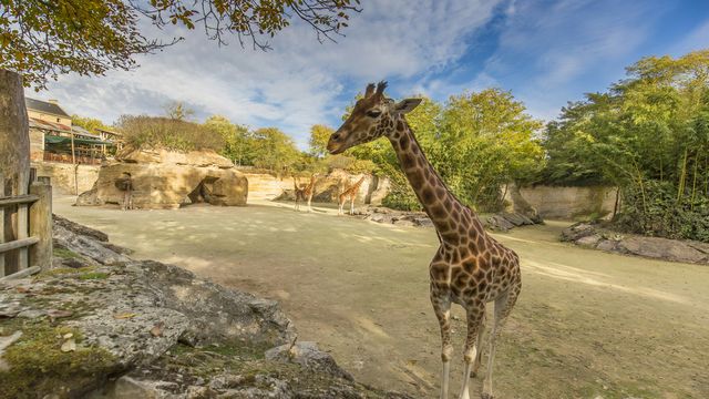 Vignette du programme télé Zoo : le défi de demain - Saison 1