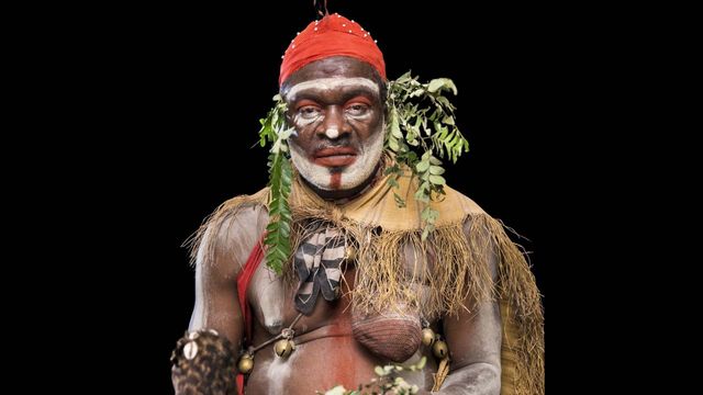 Vignette du programme télé Gardiens de la forêt - Saison 1