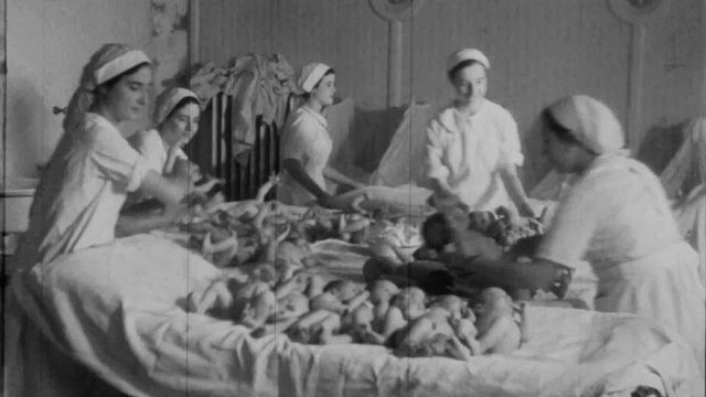 Vignette du programme télé France, la nurserie oubliée du IIIe Reich