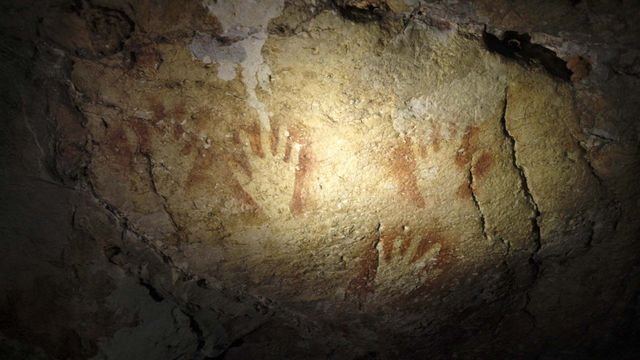 Vignette du programme télé Sulawesi, l'île des premières images