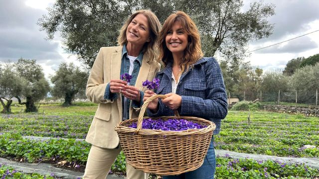 Vignette du programme télé Mon côté sud