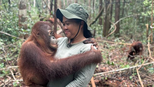 Vignette du programme télé GEO Reportage