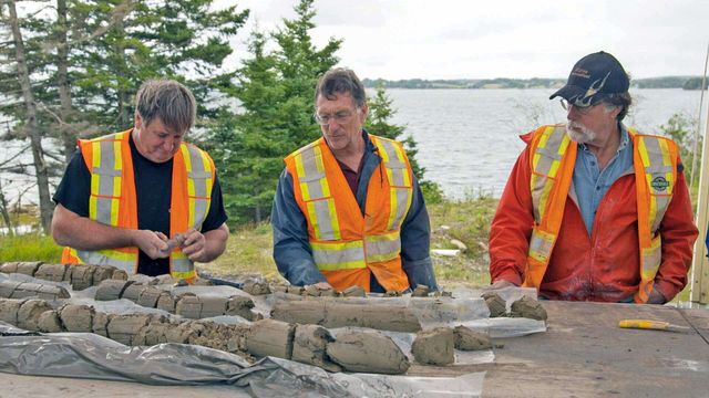 Vignette du programme télé Le mystère d'Oak Island - Saison 10