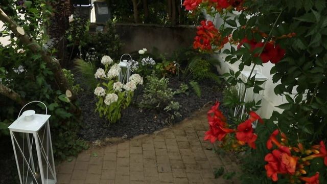 Vignette du programme télé Silence, ça pousse !