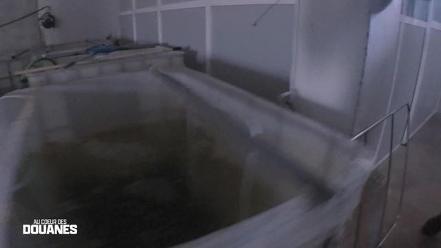 Vignette du programme télé Au coeur des douanes : Espagne - Saison 4