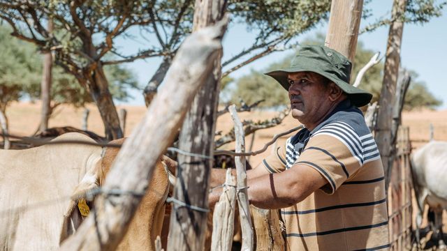 Vignette du programme télé Botswana : Vivre avec les lions