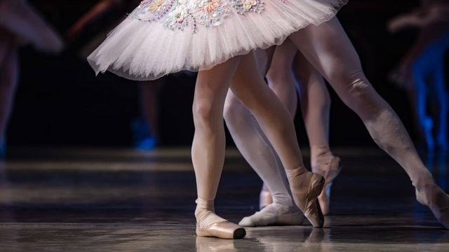 Vignette du programme télé L'âge heureux