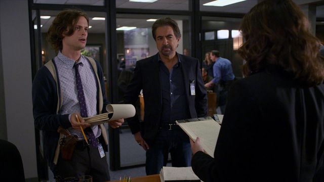 Vignette du programme télé Esprits criminels - Saison 8