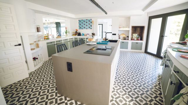 Vignette du programme télé Cougar Island