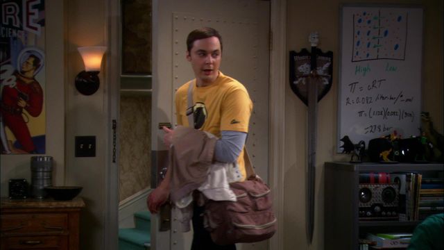 Vignette du programme télé Big Bang Theory - Saison 5