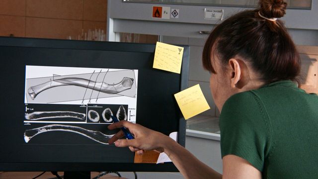 Vignette du programme télé Au-delà de la mort : les secrets des rites funéraires - Saison 1