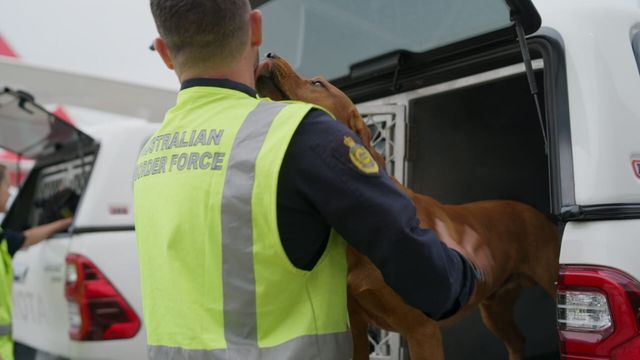 Vignette du programme télé Douanes sous haute surveillance - Saison 16
