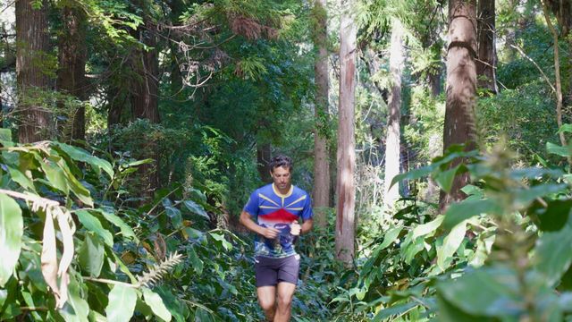 Vignette du programme télé Du souffle aux coeurs