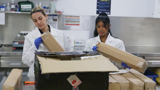 Vignette du programme télé Douanes sous haute surveillance - Saison 16